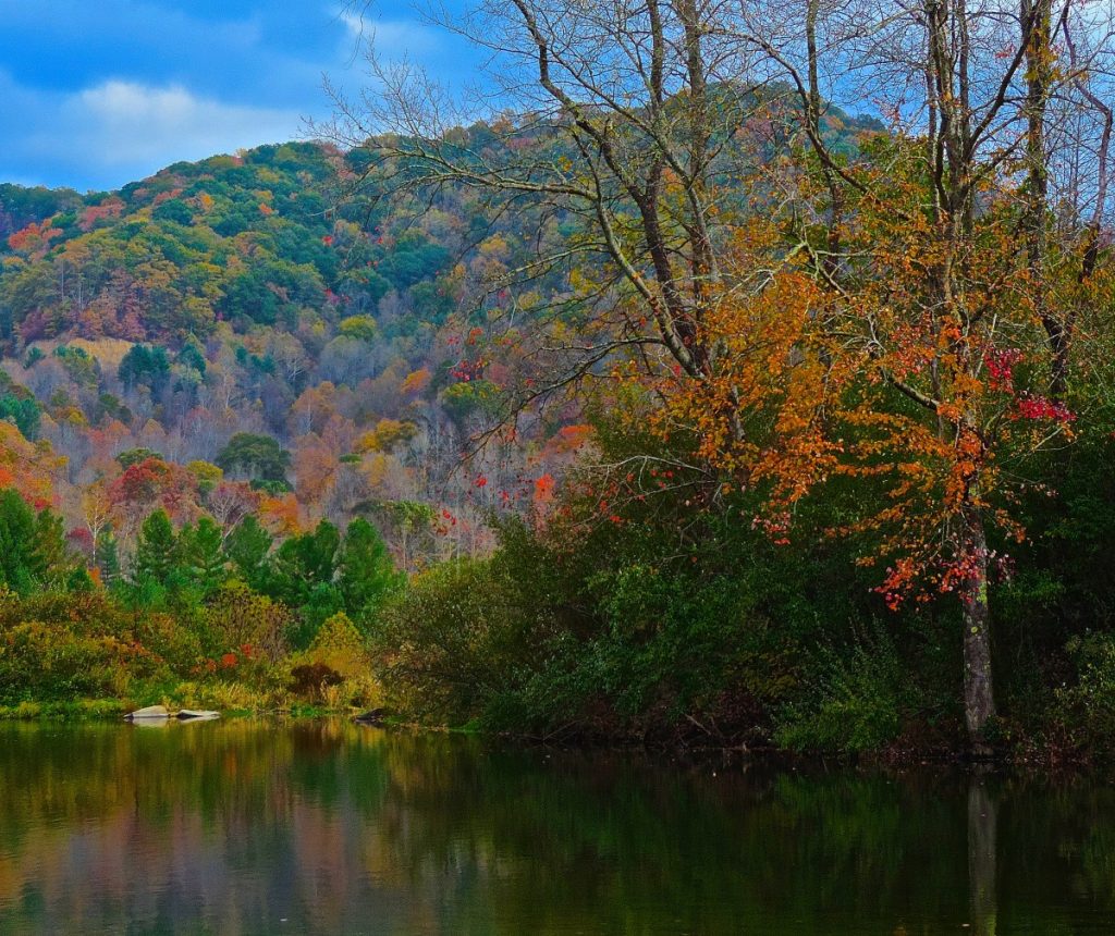 A wetland playing home to waterfowl on a former surface mine above Coeburn, Virginia. Photo: Wally Smith/Provided