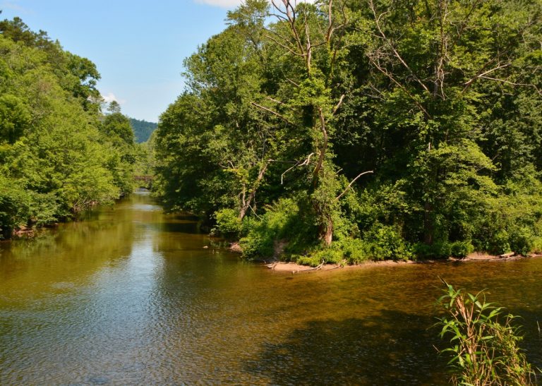 The Chattooga River near a cane restoration site in Mountain Rest, South Carolina. Photo: Sarah Melotte/100 Days in Appalachia