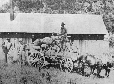 From the 1870s through the 1920s, wagons loaded with roots and herbs like this one were a common sight at country stores and herb warehouses in Appalachia. Credit: Buncombe County Special Collections Library