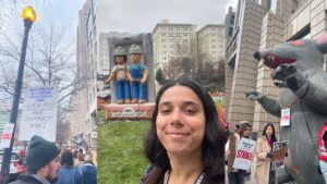 Photos: Provided by the author