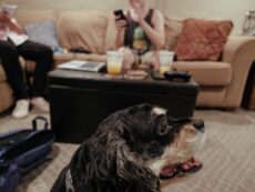 Ripley_Evan_FirstRound-10
